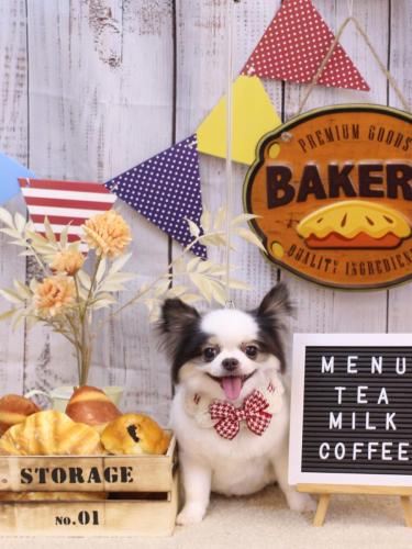 20240913リアンくん